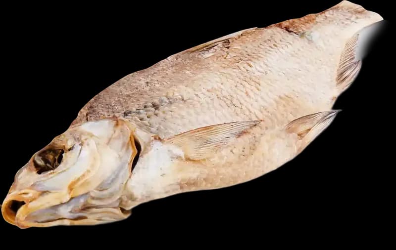 Lemberg Cejn velký nekuchaný sušený, 3,5 kg