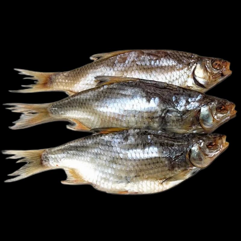 Plotice sušená nekuchaná, 1kg/3 kg