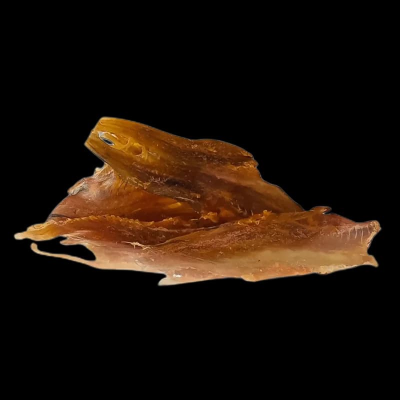 Dried Putasu file sušené s chili (R), 1 kg