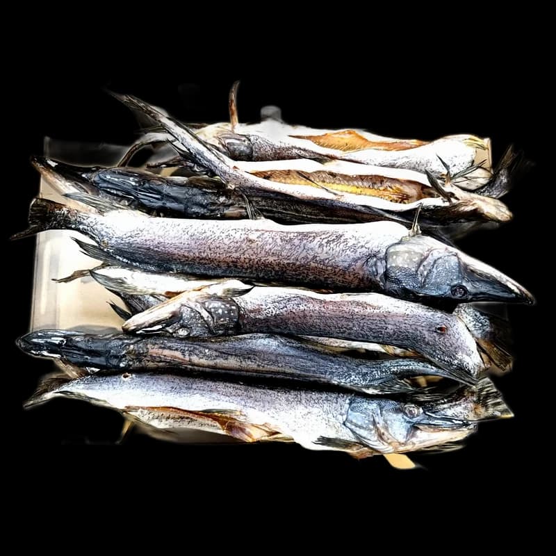Štika sušená, vykuchaná, 6 kg