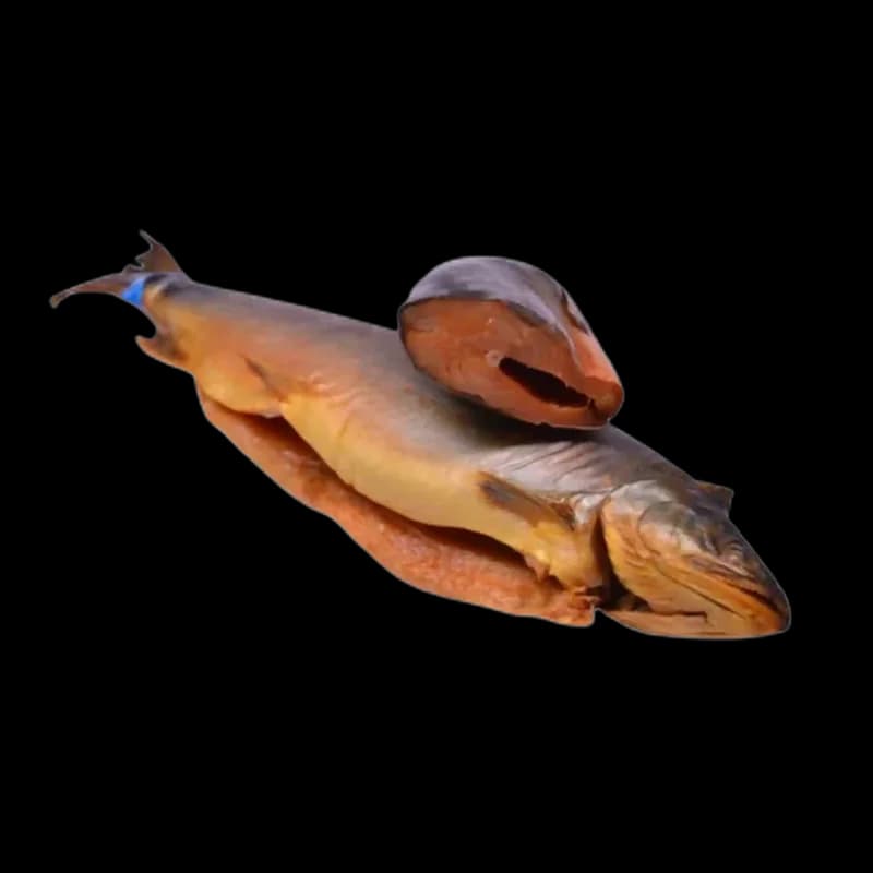 Lemberg Pstruch morský uzený za studena, 4 kg