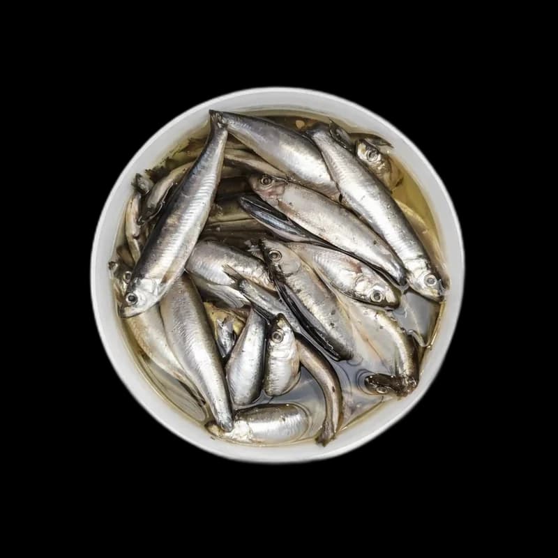 Lemberg Šproty (Sprattus), celé, v oleji, 2 kg