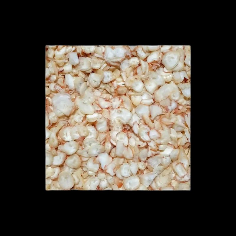 Global Kalmary sušené „Rypáčky chobotnice“, 1 kg