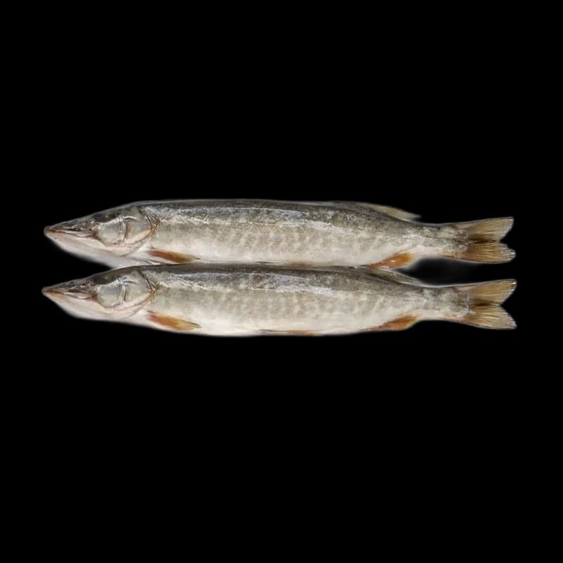 RB Štika sušená a vykuchaná, vakuové balení ±500g