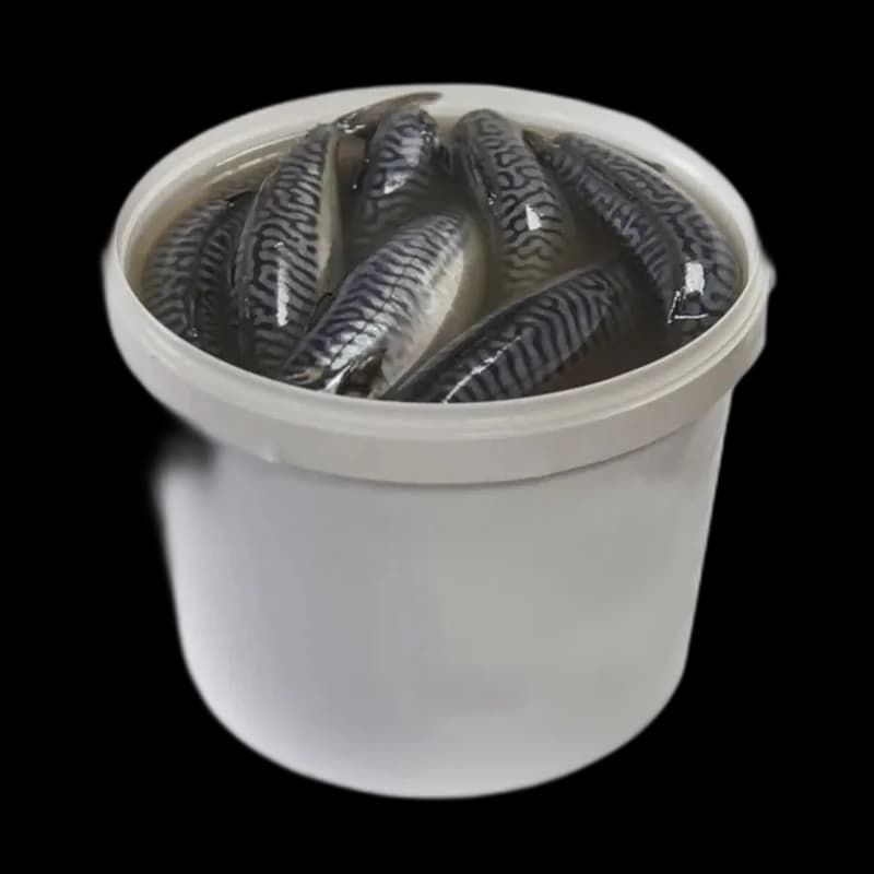 Fish prodact Premium Makrela bez hlavy v oleji (I), 5l/4kg