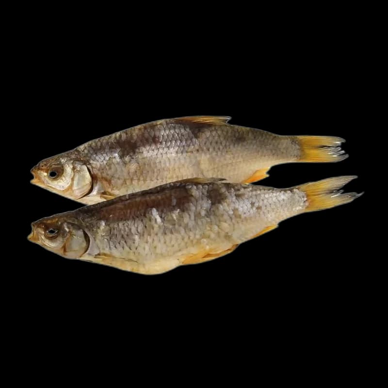 Lemberg Plotice Wobla nekuchaná sušená, 4kg