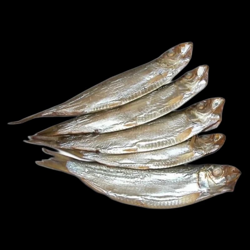 Ryba Premium class Šproty uzené za studena (I), ±3kg